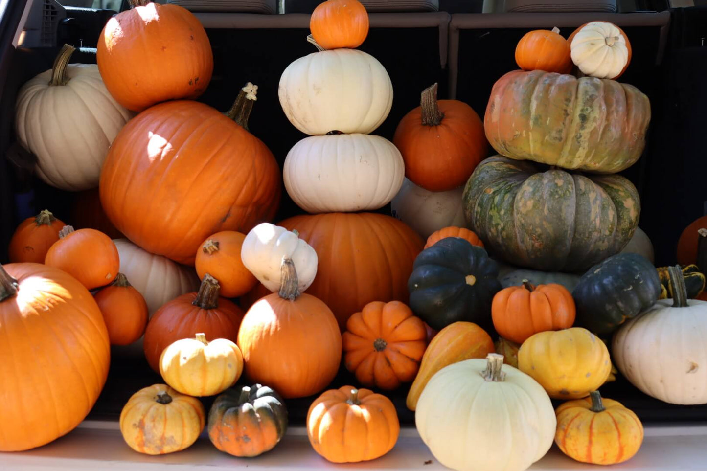 Fall Porch Packages | Concierge Pumpkin Delivery | Harvest Hunks