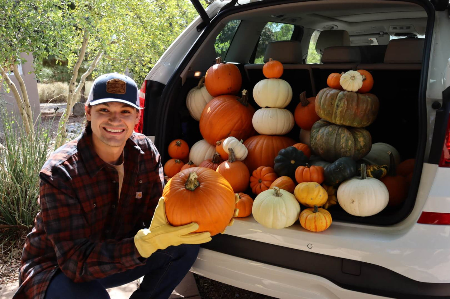 pumpkin delivery service in new mexico